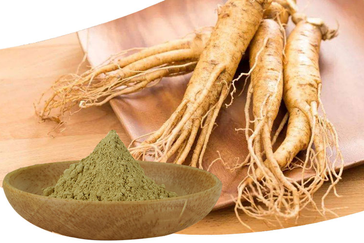 Ginseng-extract