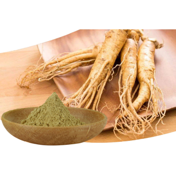 Ginseng Extract Powder for Sale
