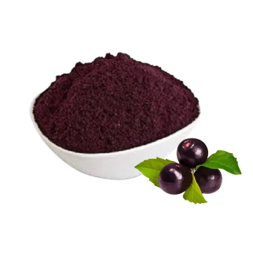 Wholesale bilberry extract powder