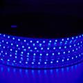 150FT LED Strip Light Dimbar