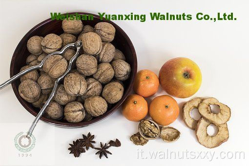 No 1 al mondo Kernels Walnut