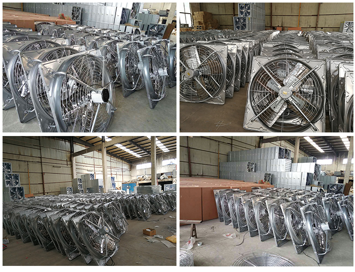 dairy farm negative-pressure fan