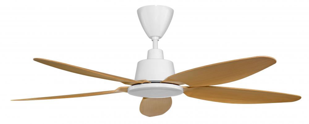 DC ceiling fan Malaysia market