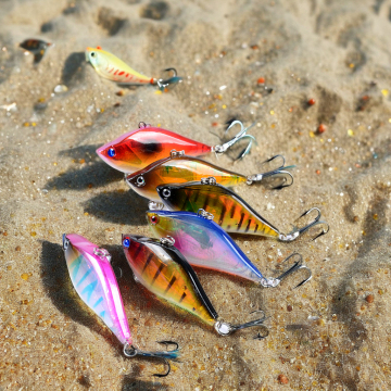 NEWMAJOR 6 Color Laser Printed ABS Hard Lure for Freshwater Fishing