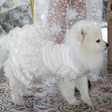 Vestido de princesa para animais de estimação: Canoidea Pet Dog Puppy Night &amp; Wedding Dress