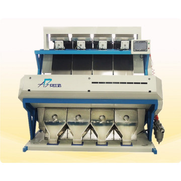 CCD Optical Cacao Beans Color Sorting Machine