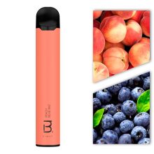 Authentic Disposable 1000mAh 1600 Puff Vapor