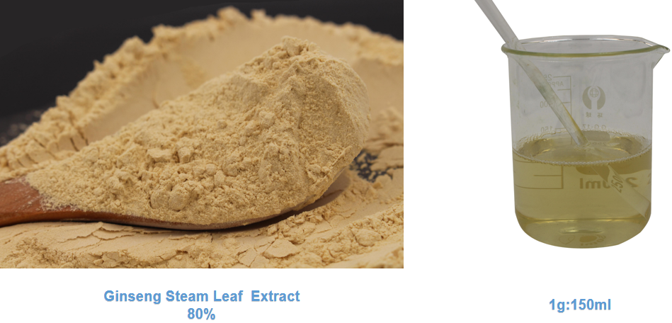 asian ginseng extract