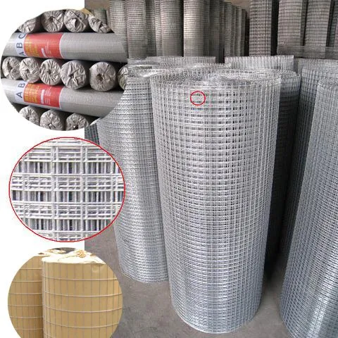 China anping Glavanized welded netting (factory)
