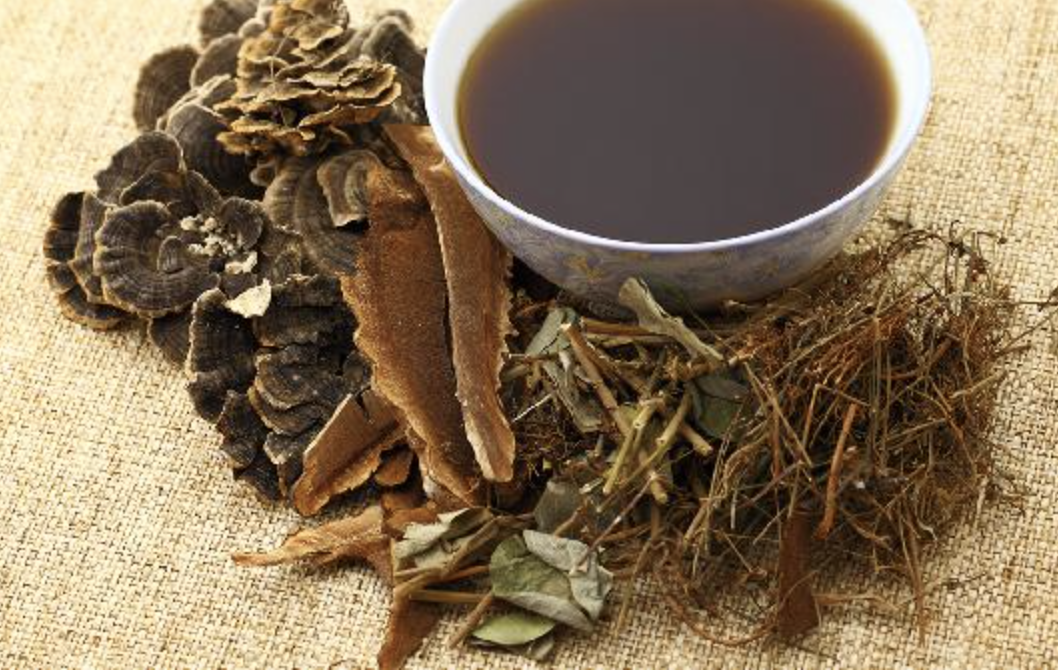 Magnolia Bark Extract Supplier