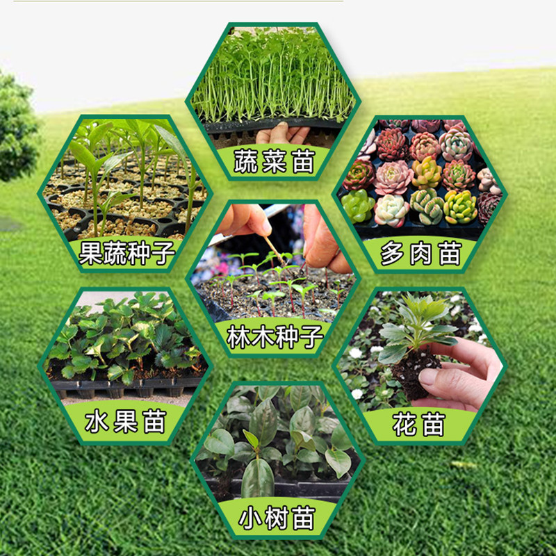 tray manufacturer
