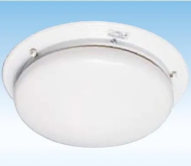 Marine Lights Double-bulb ceiling light