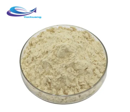 Bromelain Enzyme Powder Bulk Pure Natural Organic Pineapple
