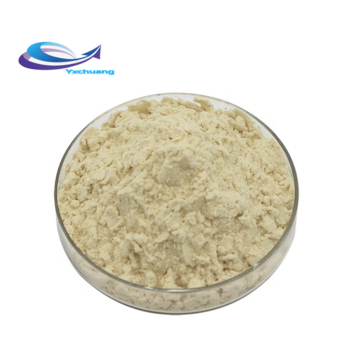 Bromelain Enzyme Powder Bulk Pure Natural Organic Pineapple