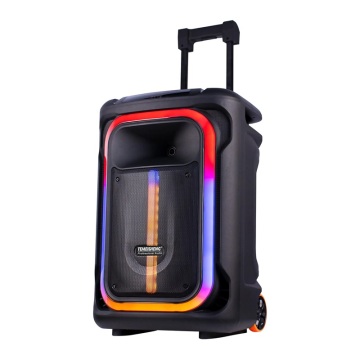 15 Inch Portable Trolley Speaker for Outdoor Karaoke