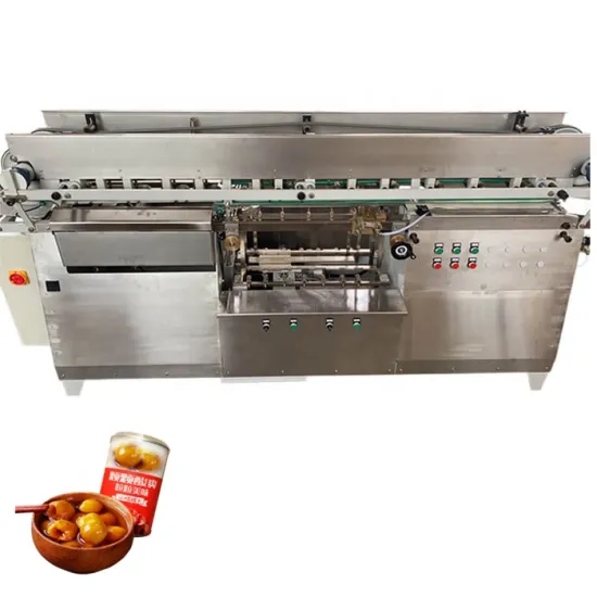 Canned Fruit Labeling Machine for Wet and Frozen Fruits