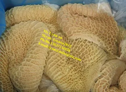 Cattle Tripe Cleaning Machine | Beef Tripe and Sheep Tripe Belly Washer