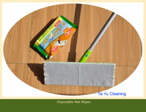 Flat Dry&Wet Wipe Mop (YYFM-003)