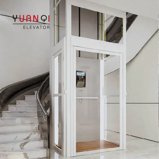 Electric Passenger Elevators & Home Lift Suppliers - 220V 600KG Villa Elevator