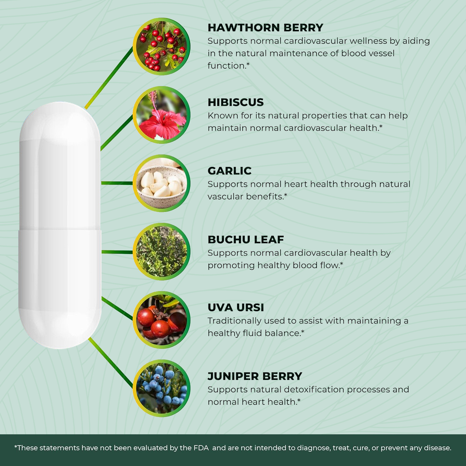 Blood Pressure capsules 6