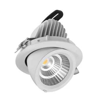 30W-40W Fresh Meat LED Down Light with Adjustable Gimbal for Supermarket Pink Meat Lighting