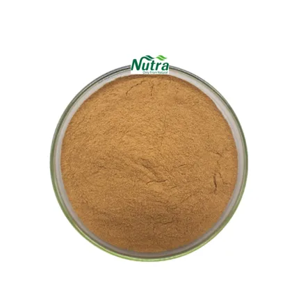 Organic Motherwort Herb Extract Powder