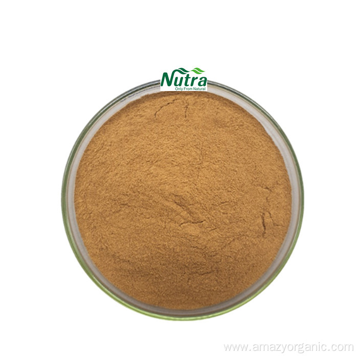 Organic Motherwort Herb Extract Powder