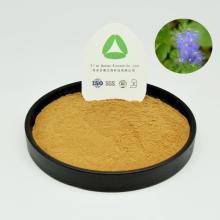 Cyanotis arachnoidea Extract Hydroxyecdysone Ecdysterone