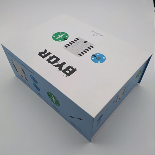 Custom Cardboard Book Shape Box With Foam Insert