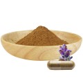 Extrait d&#39;herbe Turkesterone 2% Ajuga ciliata Bunge powder