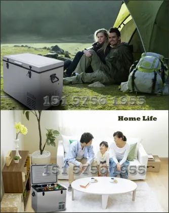 DC12v Car Freezer Fridge Refrigerator (20L-80L) Search