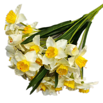 White Silk Daffodil Artificial Flowers with Green Leaves - Faux Narcissus for Wedding Centerpieces