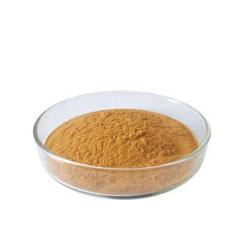 ekstrak jamur shiitake organik bubuk tubuh buah