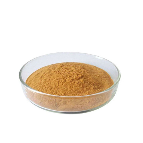 organic shiitake mushroom extract powder fruiting body