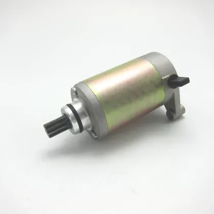 GS150 Motorcycle Starter Motor