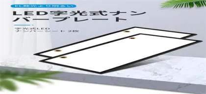 Number Plate Light Bulb