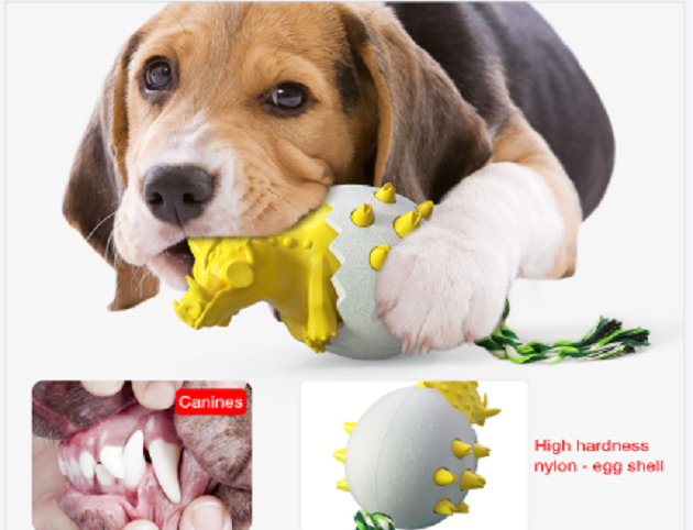 Dog Chew Toys Wild Boar Egg Details 5