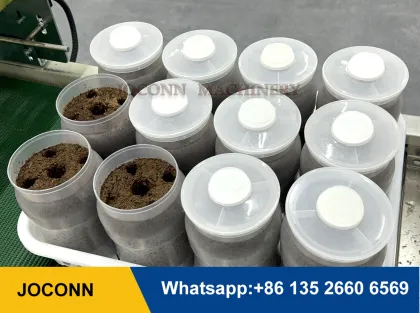 King Oyster Mushroom Growing Bottles: Edible Fungus Cultivation Substrate Filling