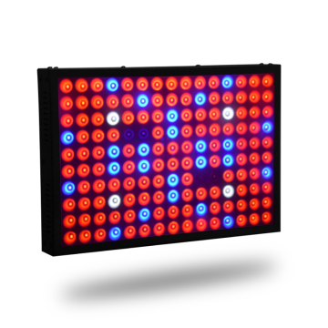 600W à spectre complet LED élèvent la lumière