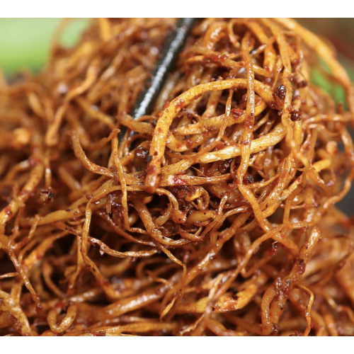 Món ăn nhẹ lên men từ rễ cây Allium Hookeri ngon tuyệt