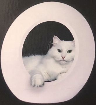 Luxury Smart Cat House with Air Conditioner, WiFi, and Music Features