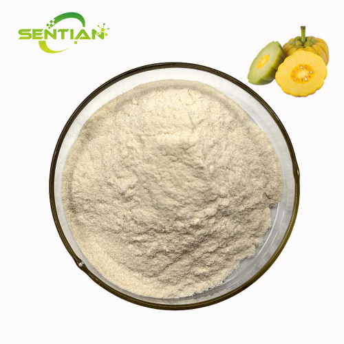 Premium Garcinia Extract