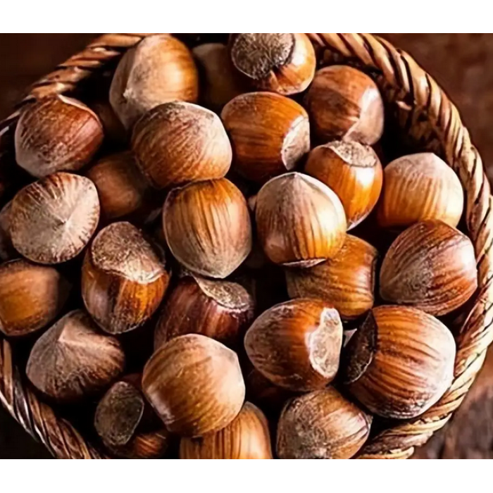 Deliciosas avelãs leopardo enlatadas