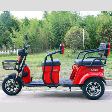 Bosn Cheap 500W electric tricycles