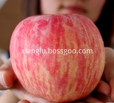 Natural apple fruit