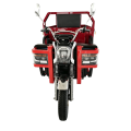CT1 Electric Cargo Τρίκυκλο