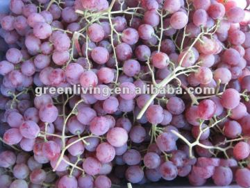 Grape peel/skin extract