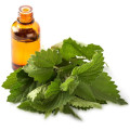 pure and natural Lemon Balm oil