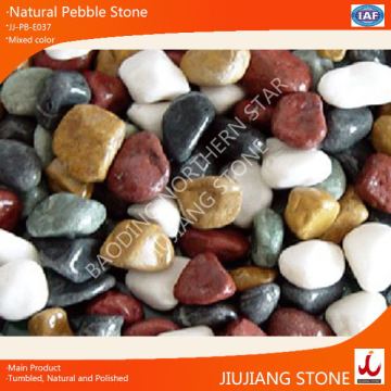 Colorful Pebble, Natural Pebble Stone With Factory Price