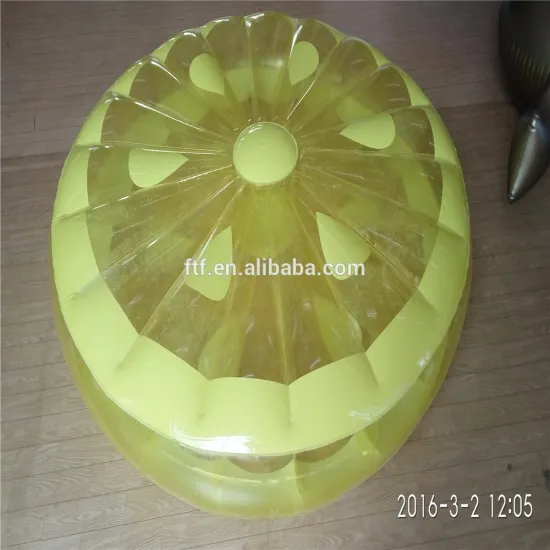 most popular lovely yellow lemon inflatable floating row